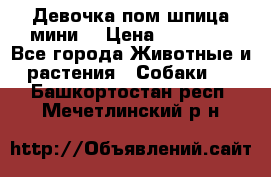 Девочка пом шпица мини  › Цена ­ 30 000 - Все города Животные и растения » Собаки   . Башкортостан респ.,Мечетлинский р-н